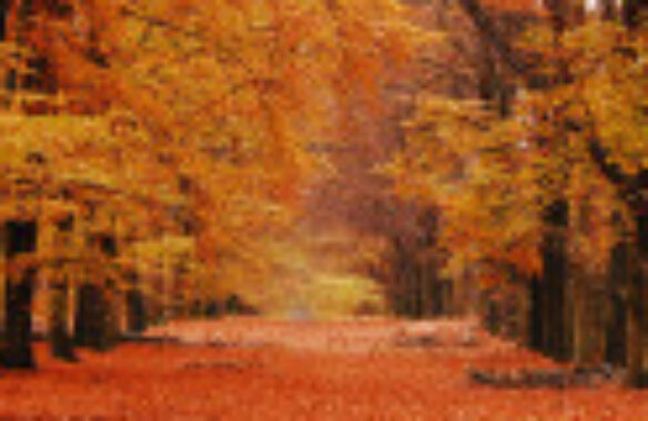 Sügisvaheaja pakkumine